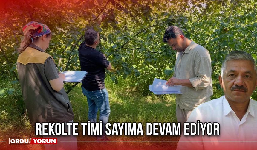 Rekolte Timi Sayıma Devam Ediyor