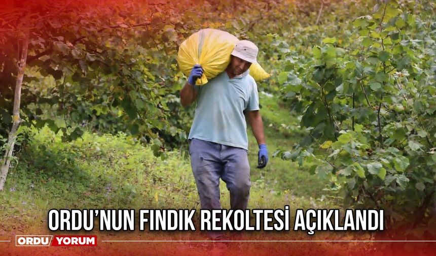 Ordu’nun Fındık Rekoltesi Açıklandı