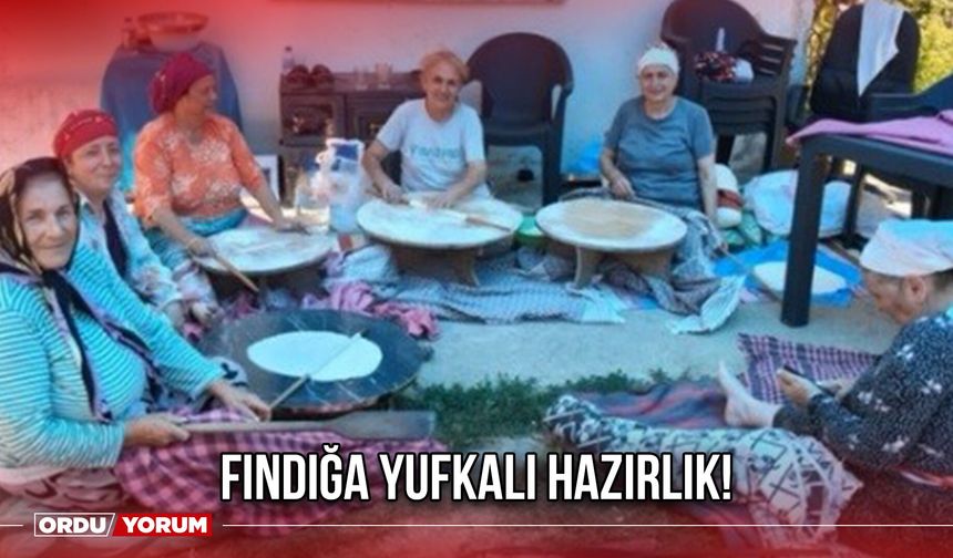 Fındığa Yufkalı Hazırlık!