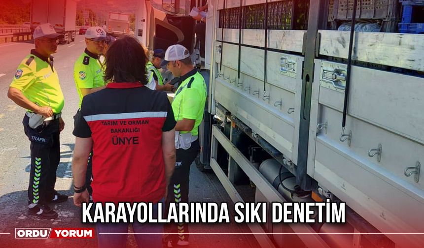 Karayollarında Sıkı Denetim