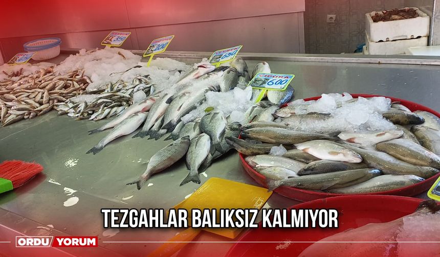 Tezgahlar Balıksız Kalmıyor