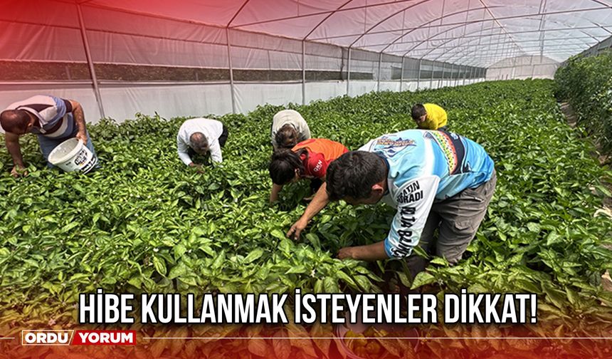 Hibe Kullanmak isteyenler Dikkat!