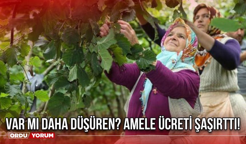 Var Mı Daha Düşüren? Amele Ücreti Şaşırttı!