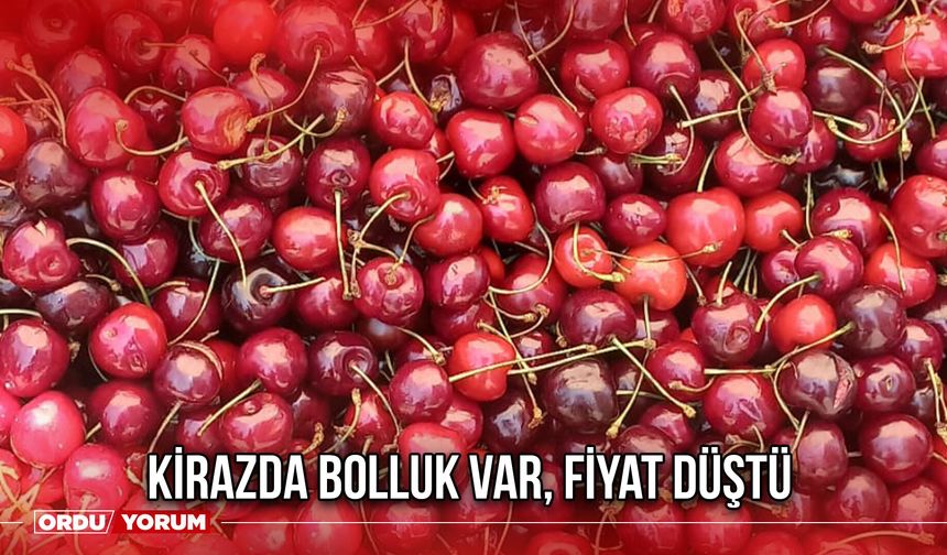 Kirazda Bolluk Var, Fiyat Düştü