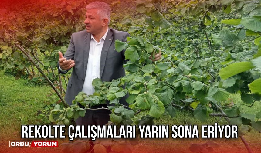 Rekolte Çalışmaları Yarın Sona Eriyor