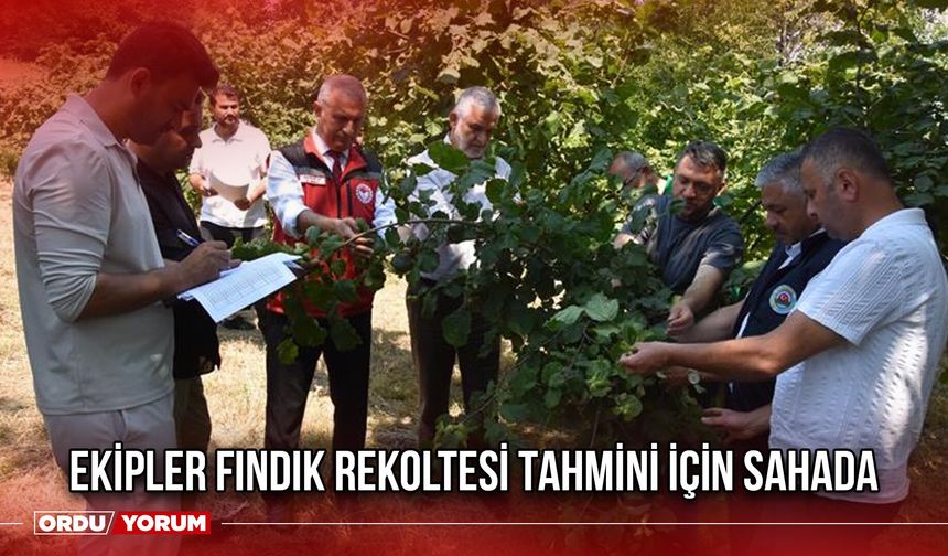 Ekipler Fındık Rekoltesi Tahmini İçin Sahada
