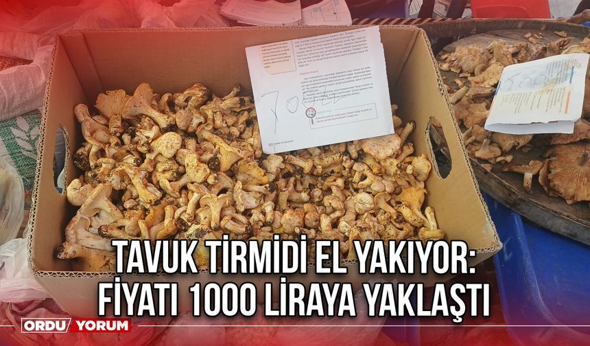 Tavuk Tirmidi El Yakıyor: Fiyatı 1000 Liraya Yaklaştı