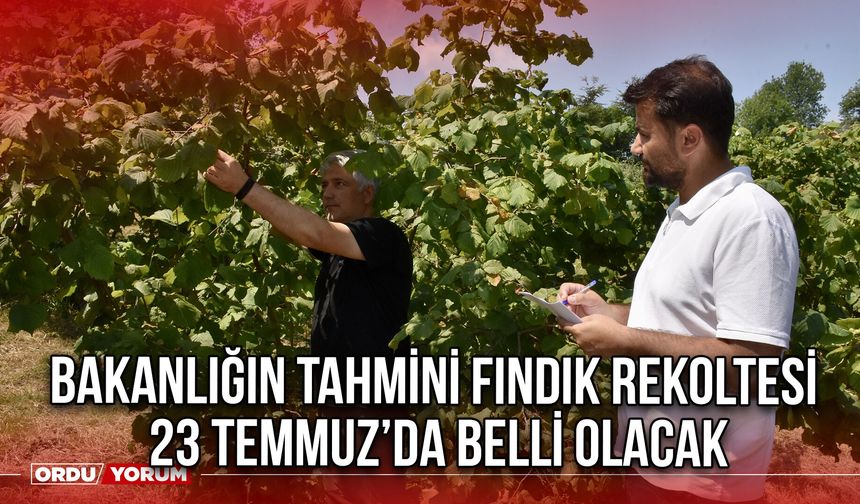 Bakanlığın Tahmini Fındık Rekoltesi 23 Temmuz’da Belli Olacak