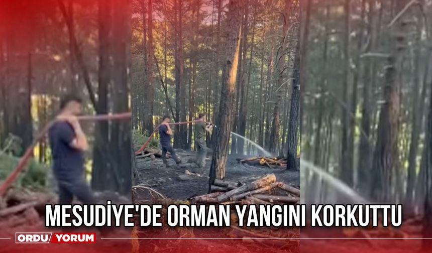 Mesudiye'de Orman Yangını Korkuttu