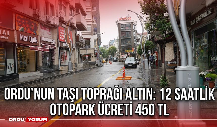 Ordu’nun Taşı Toprağı Altın: 12 Saatlik Otopark Ücreti 450 TL