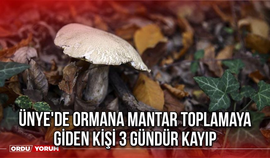 Ünye'de Ormana Mantar Toplamaya Giden Kişi 3 Gündür Kayıp