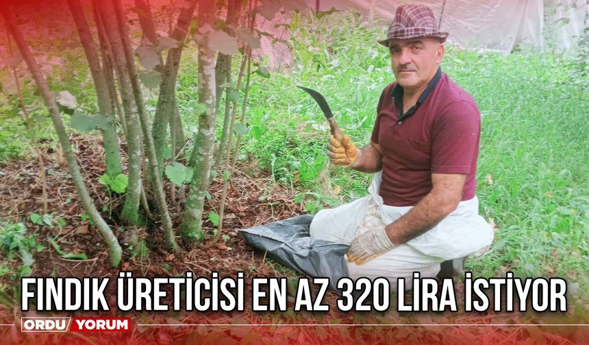 Fındık Üreticisi En Az 320 Lira İstiyor