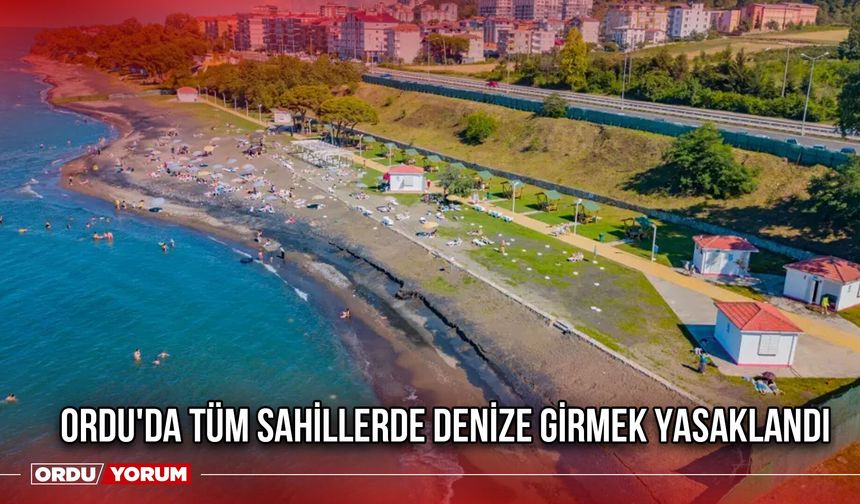 Ordu'da Tüm Sahillerde Denize Girmek Yasaklandı