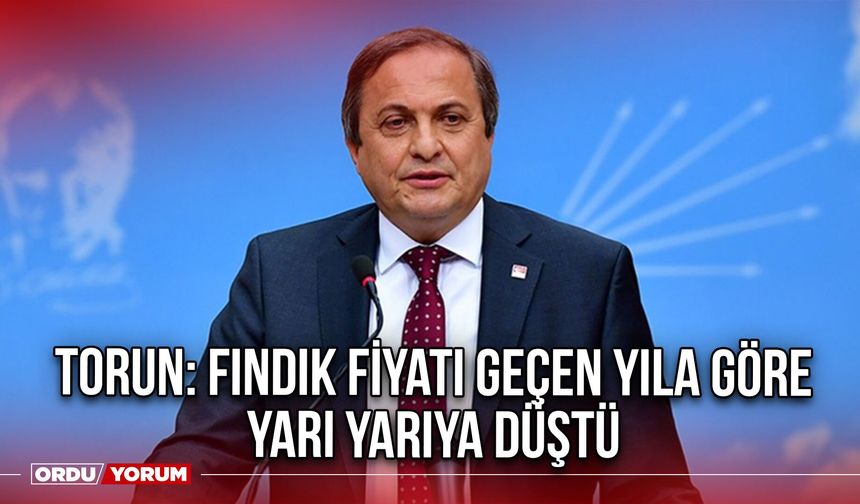 Torun: Fındık Fiyatı Geçen Yıla Göre Yarı Yarıya Düştü