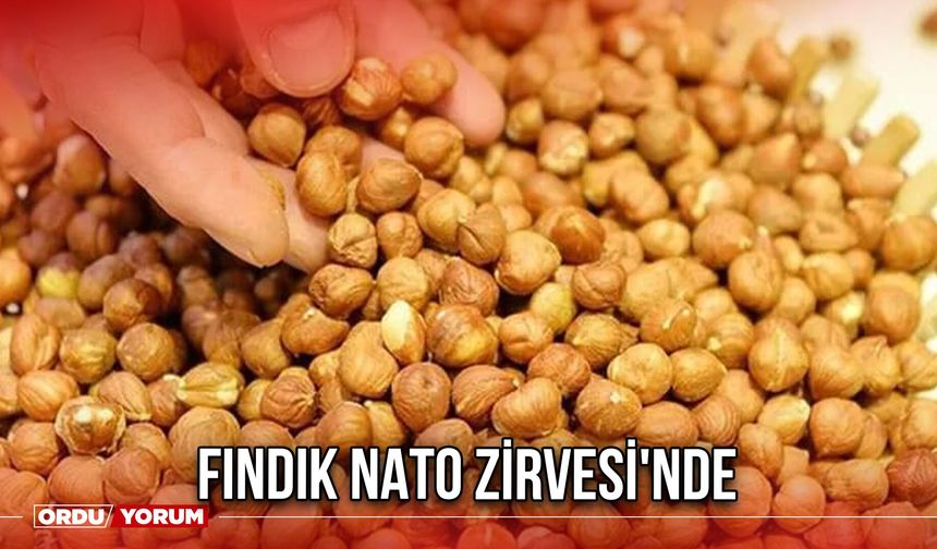 Fındık NATO Zirvesi'nde