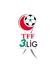 3.lig