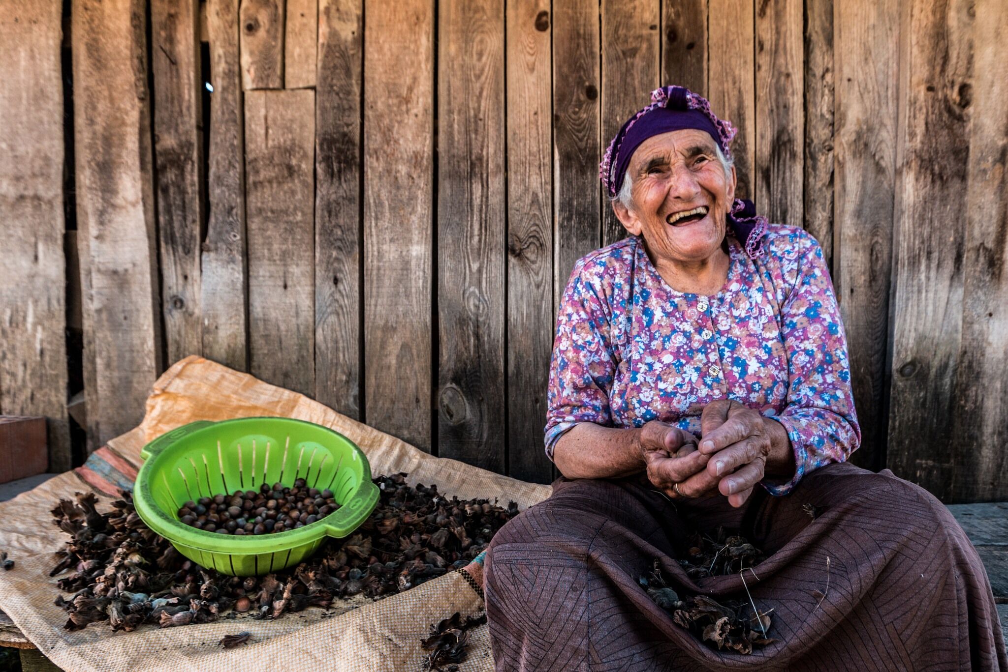 levant kalite fındık nedir 4