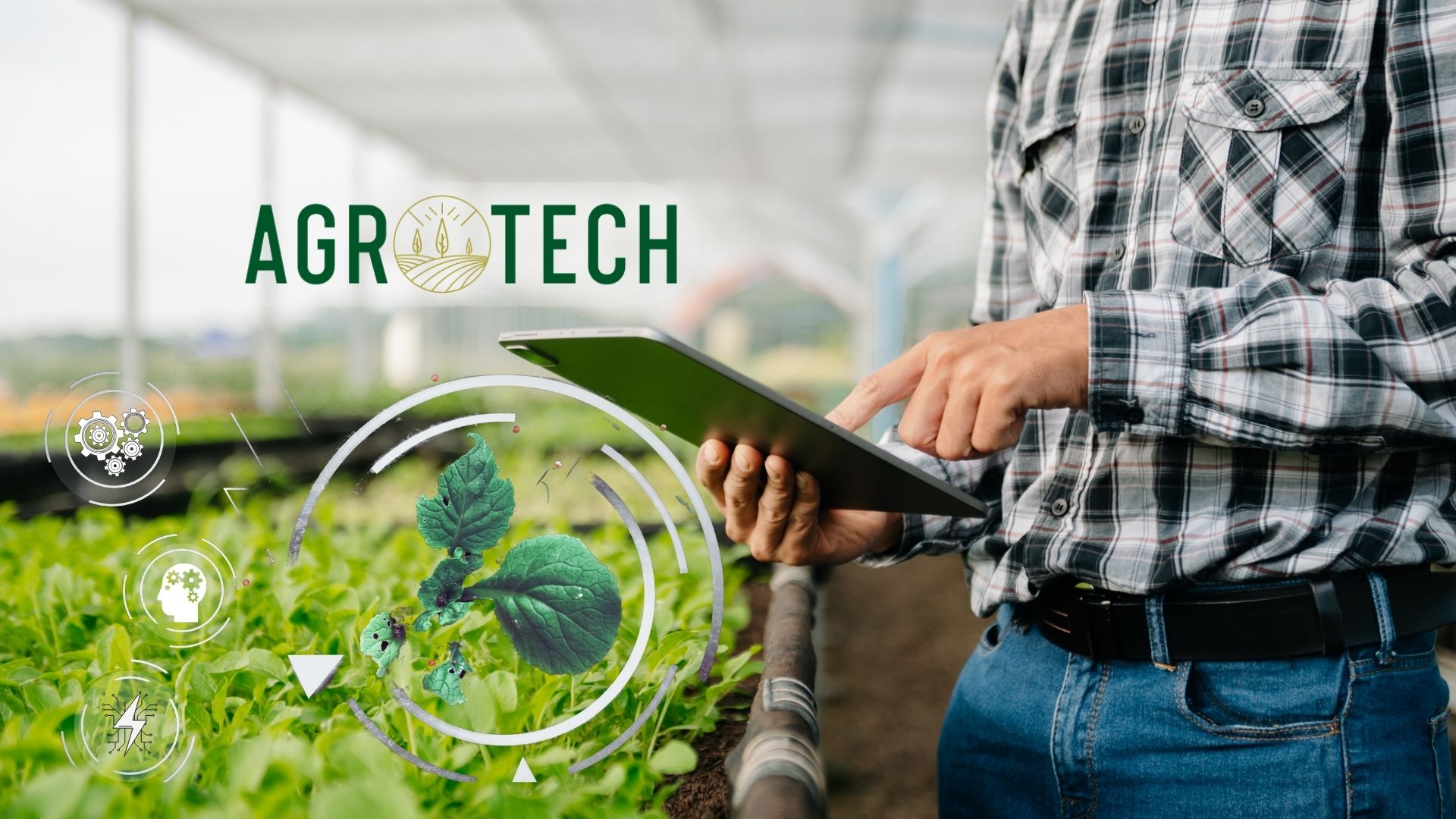 agrotech-halka-arz