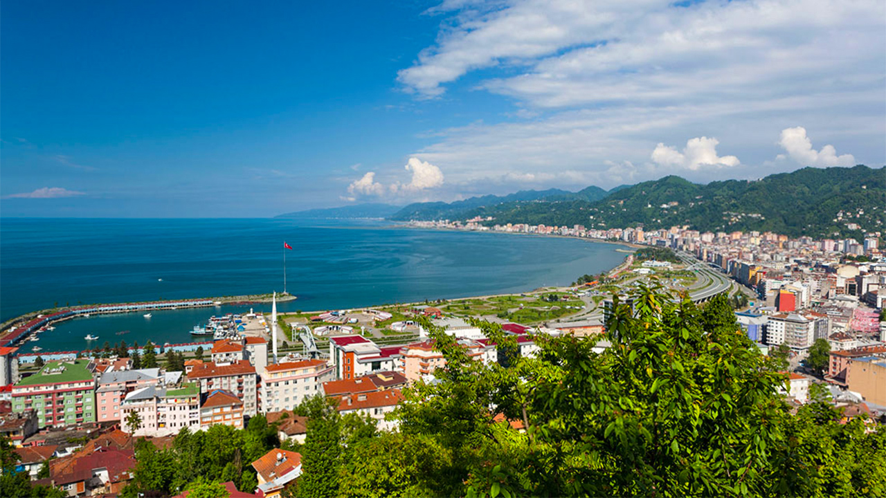 Rize-4