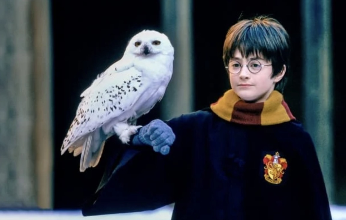 harry-potter-istanbul-magazasi