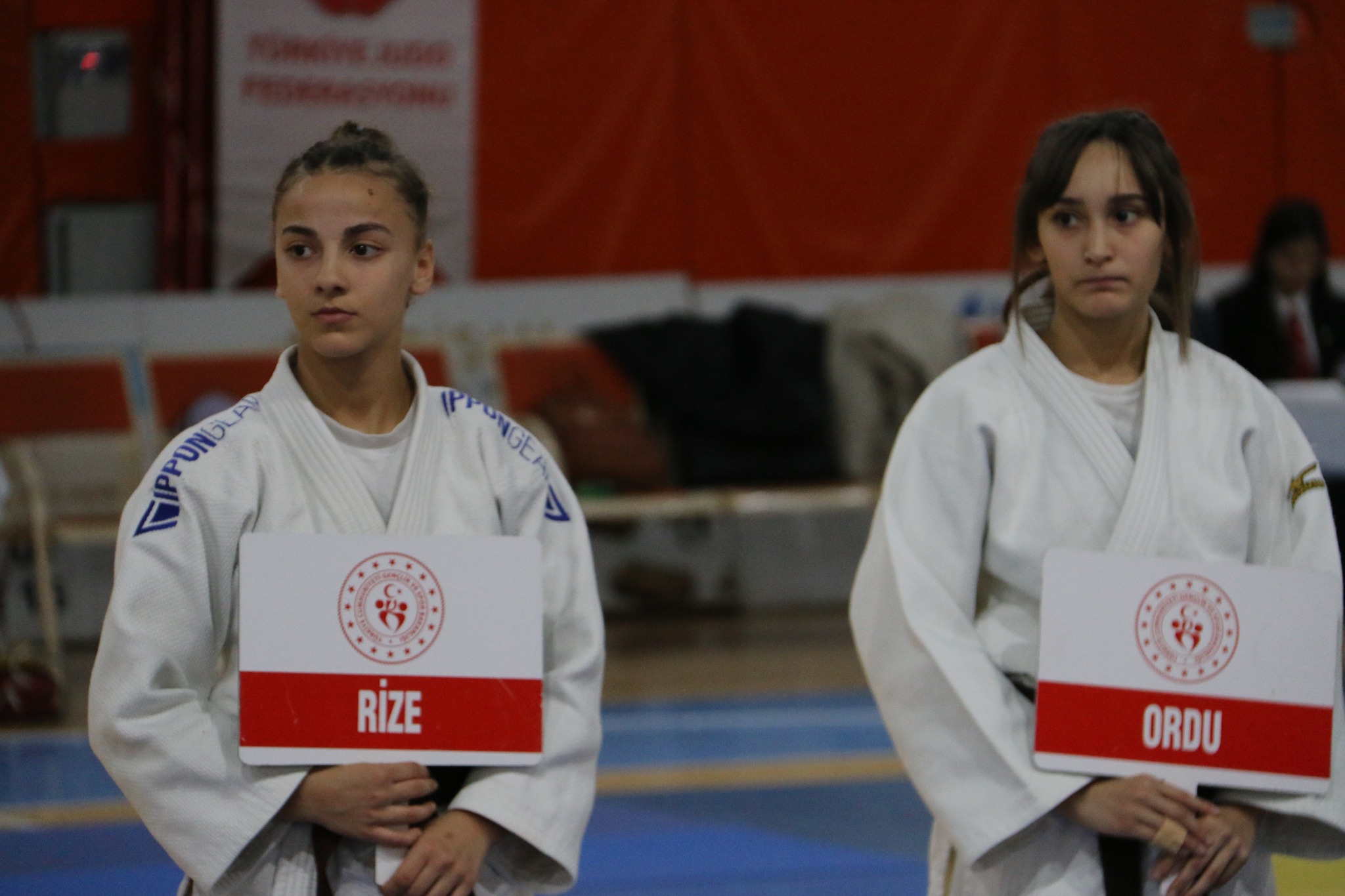 judo ordu