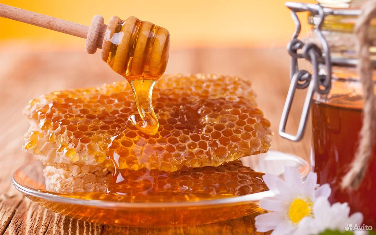 Gerçek Bal Honey