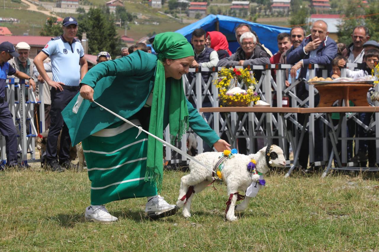 Çambaşı Fest 2