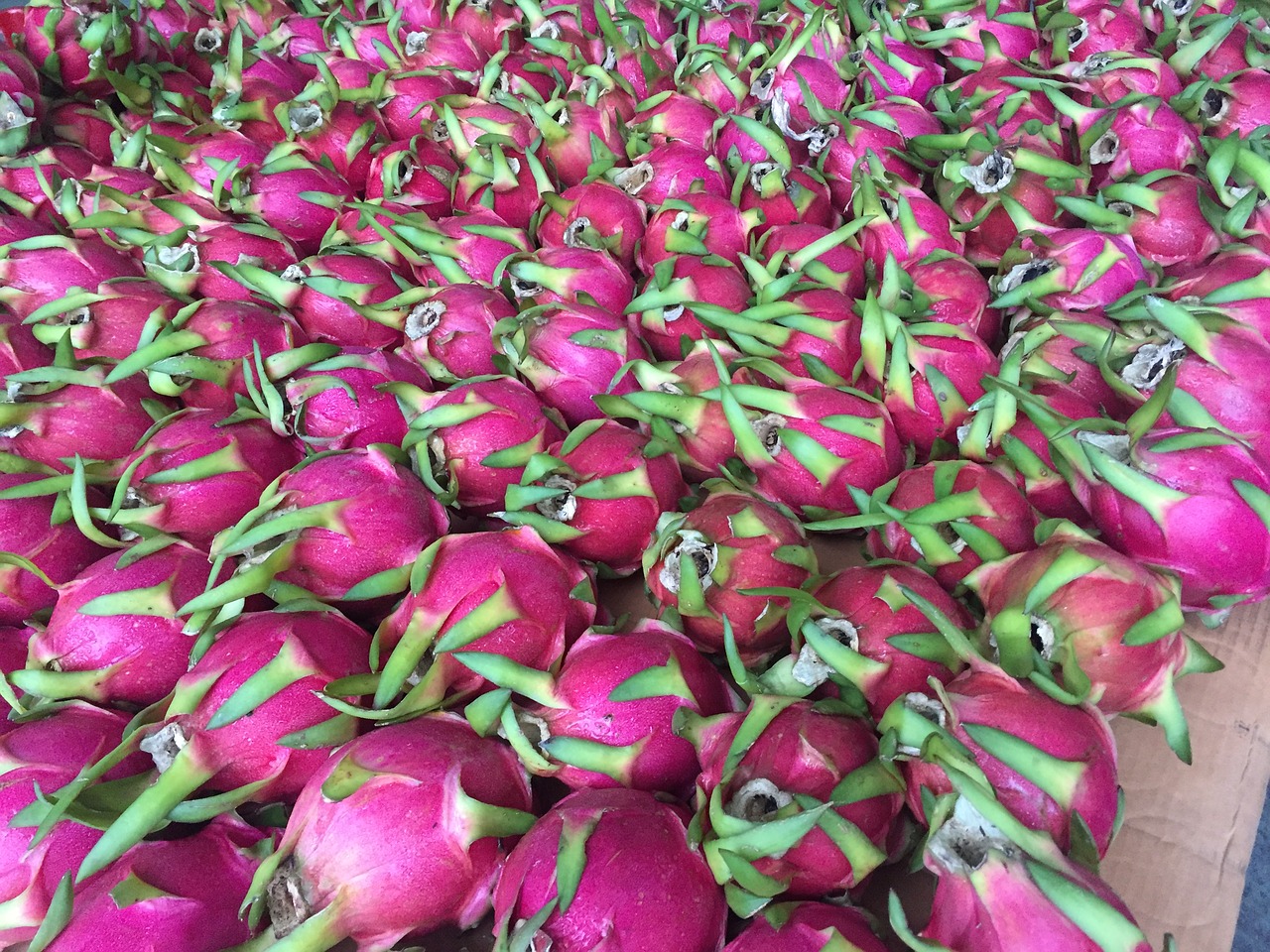 Dragon Fruit 2690487 1280