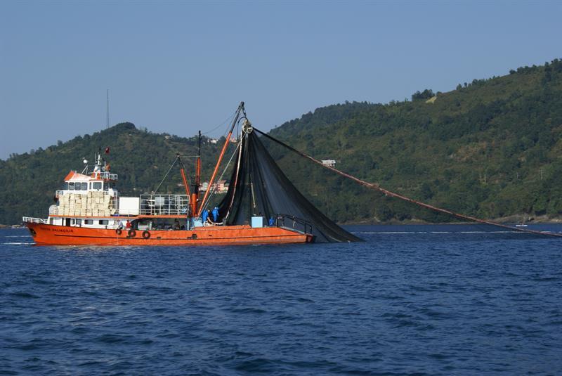 Balıkçılık Av Sezonu 3