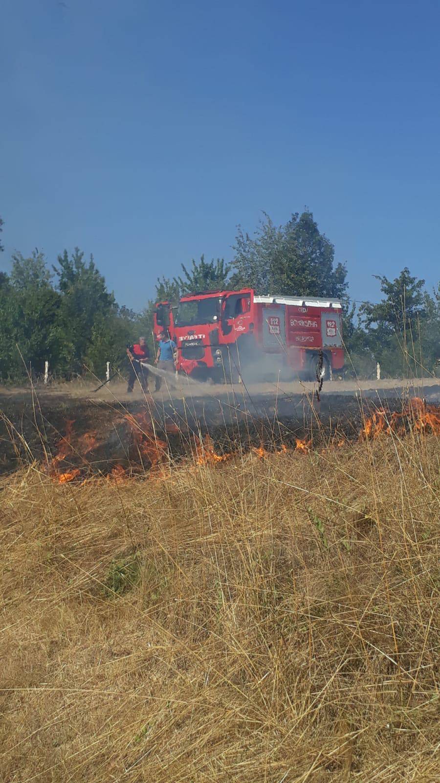 Ordu Yangınlar 1