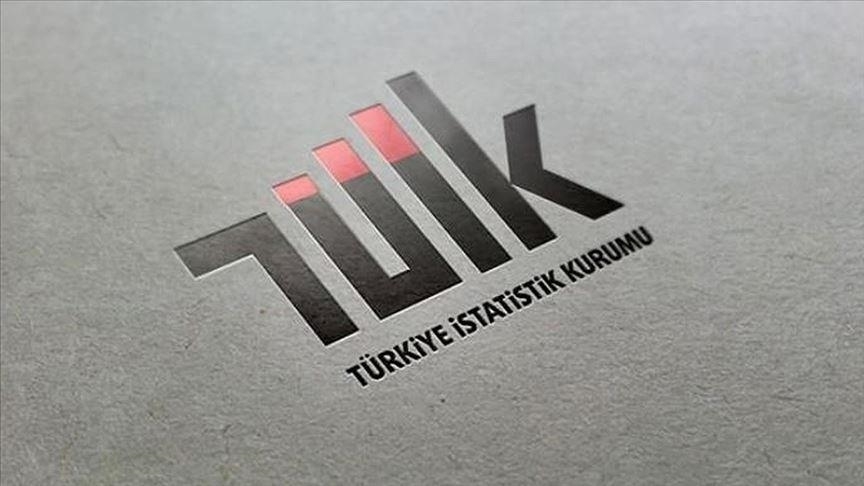 Tüi̇k Logo