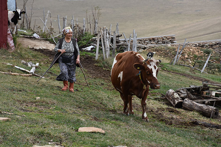 Kadin Çi̇ftçi̇ 4