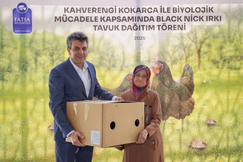 Kokarca Tavuk 2