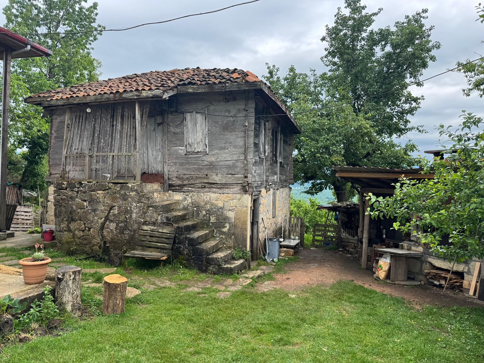 Ordu 3