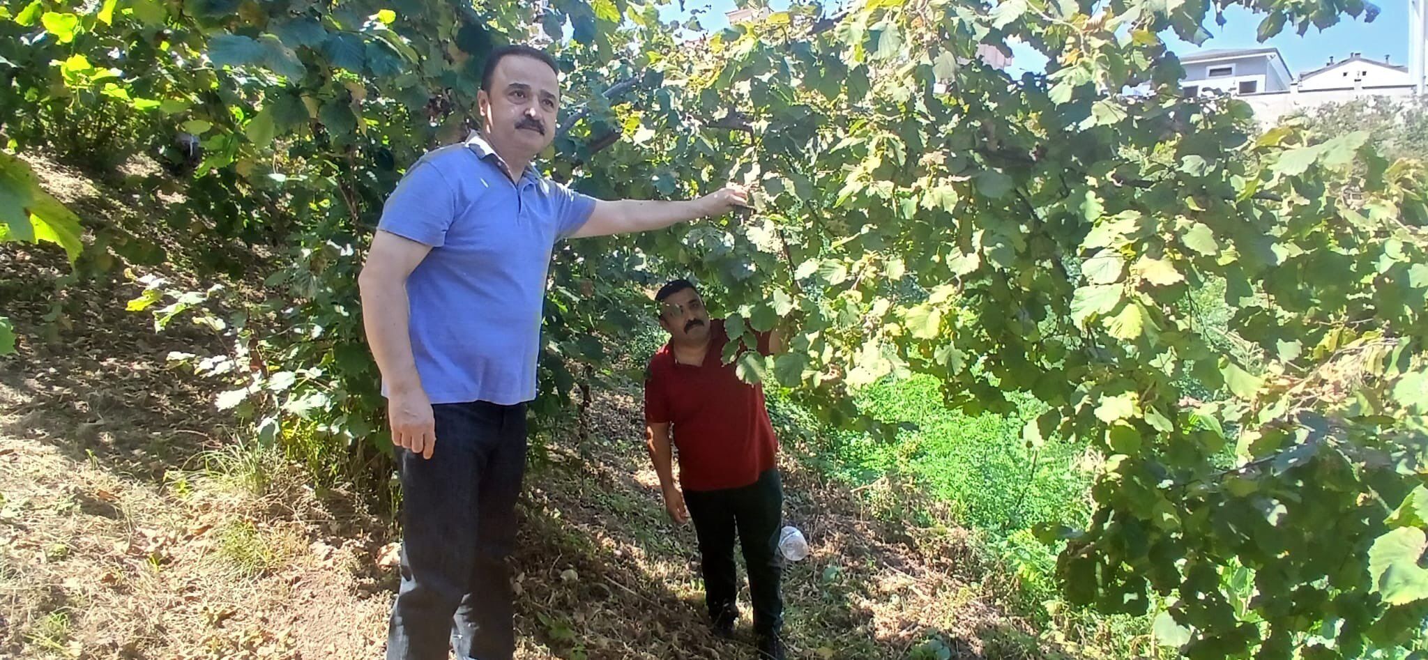 Şanlıtürk 1-1