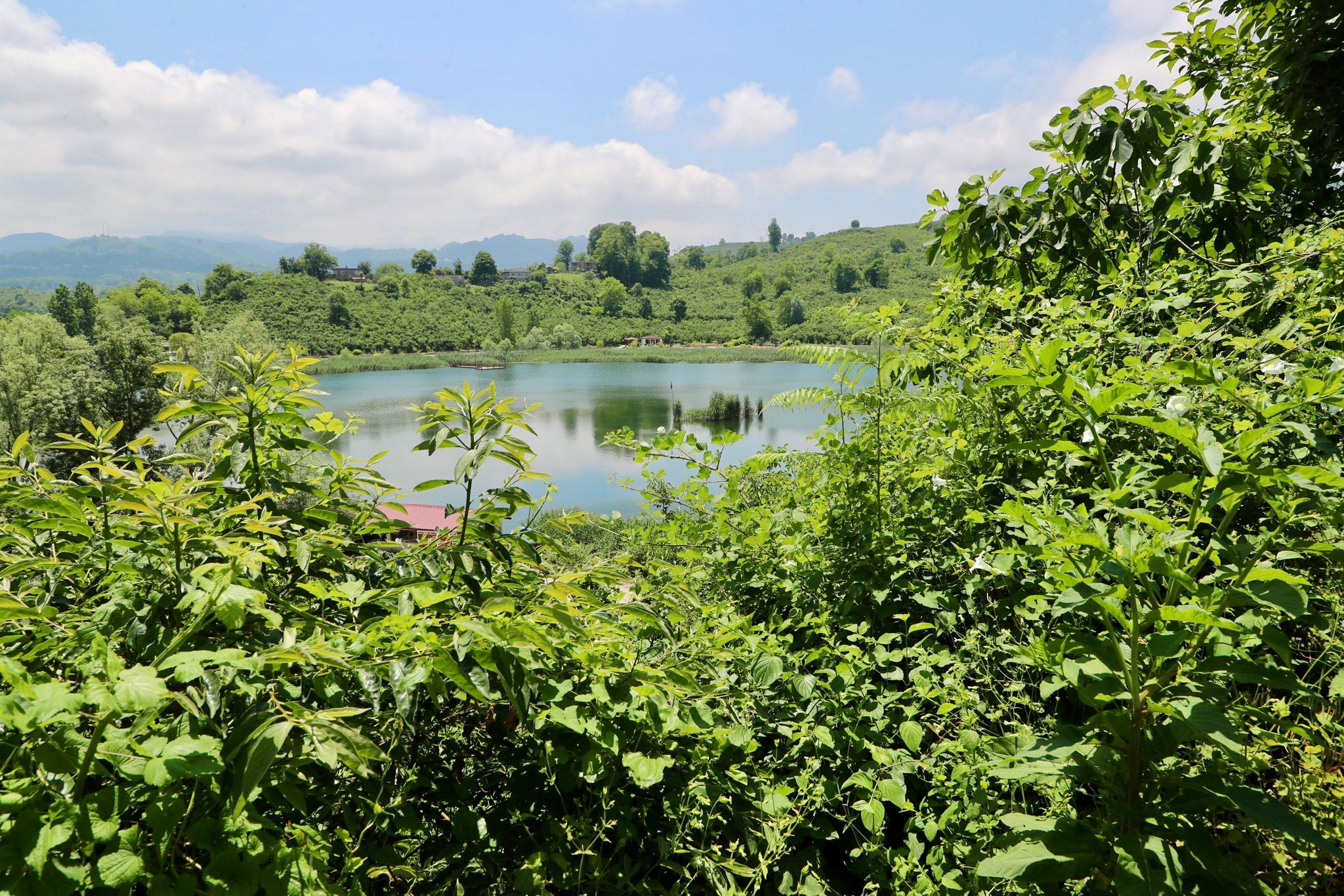 Yoprak Kanunu 2